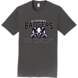 Lady Badgers Adult Fan Favorite Tee