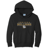 Chelsea Bulldogs Youth Core Fleece Pullover Hooded Sweatshirt